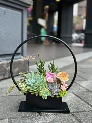 多肉植物~鐵藝設計 115032105