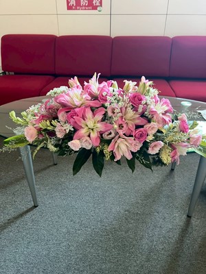 講台花/會議桌/盆花設計y3038