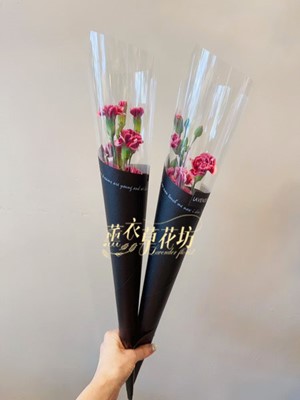 台灣康乃馨~112051128