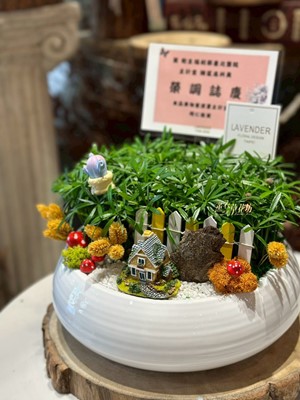 羅漢松組合盆栽114102310