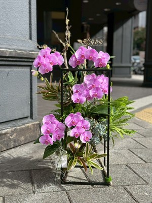 蝴蝶蘭設計~架構式 107102912