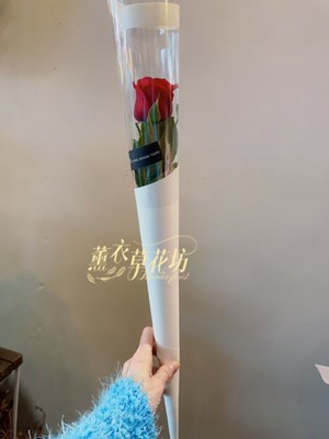 需要搭配主商品才能購買-不接受單枝購買-112030820