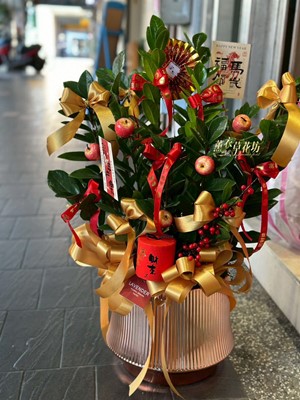 金錢樹~盆栽設計 115032022