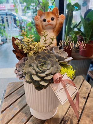 貓咪&多肉設計 111081902