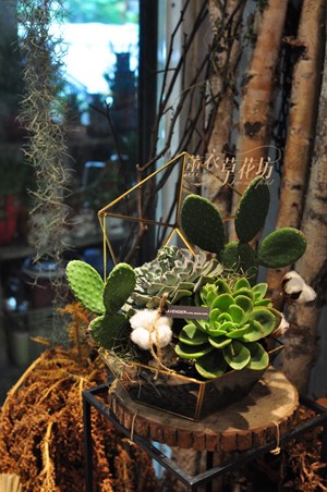 多肉植物&玻璃花器設計 109042705