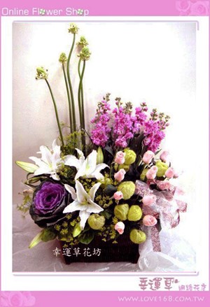 C19優質盆花