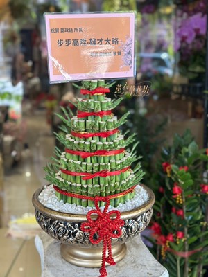 開運竹盆景c100311