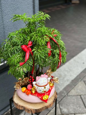 富貴樹~招財貓~114103110