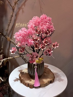 櫻花搖錢樹~115012807