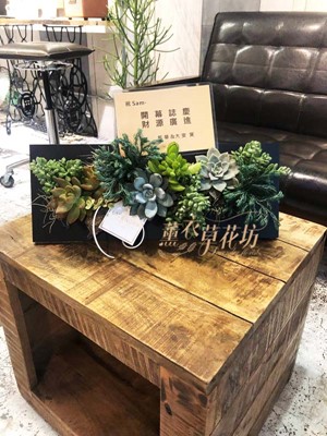 多肉植物設計~歐飾款b111120 