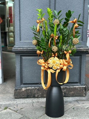 金錢樹~盆栽設計115041602