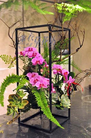 蝴蝶蘭設計~架構式 107102912