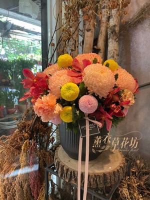 富貴牡丹菊設計110012716