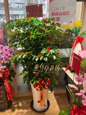 旺旺樹 107053009