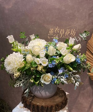 盆花設計 110042921