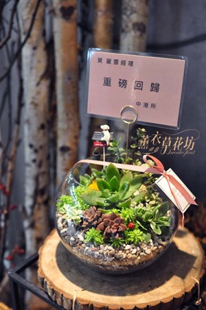 玻璃缸&多肉植物設計/開幕/高陞/107111207