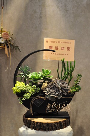 已到貨~多肉植物設計109040618