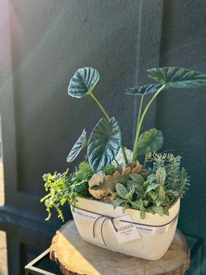 缺貨-綠色植栽設計~ 114100806