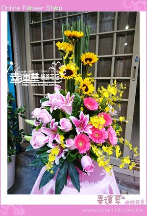 優質盆花C0104