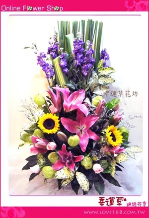 C11優質盆花