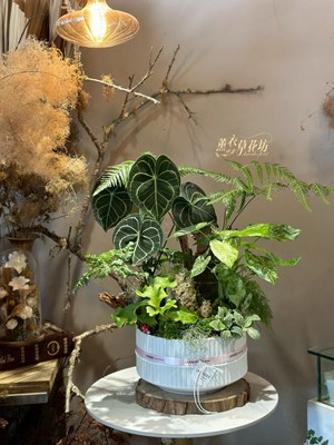 綠色生態植栽設計 114122908