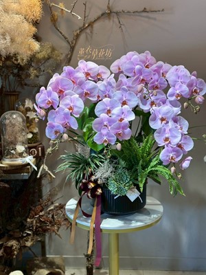 高雅蝴蝶蘭設計~114071005